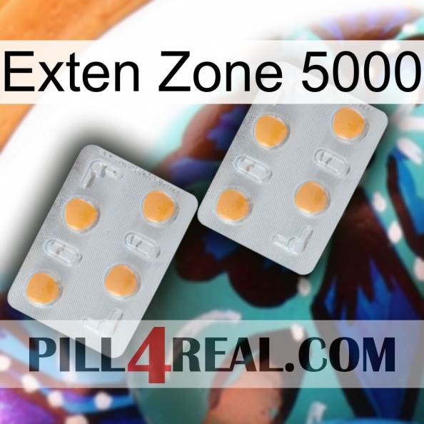 Exten Zone 5000 25.jpg